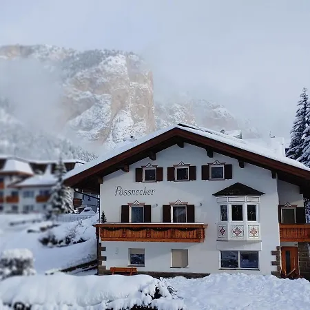 Apartment Poessnecker Selva di Val Gardena Exterior photo