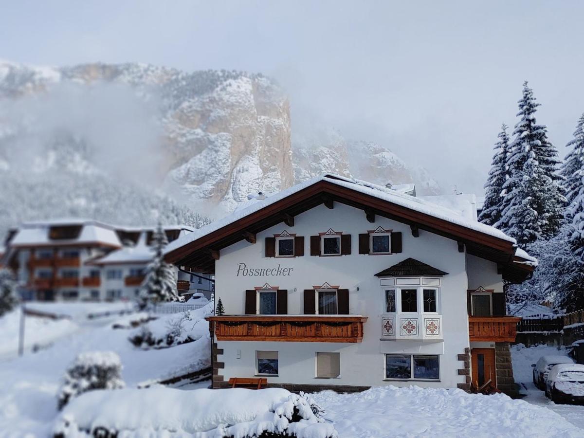 Poessnecker Selva di Val Gardena